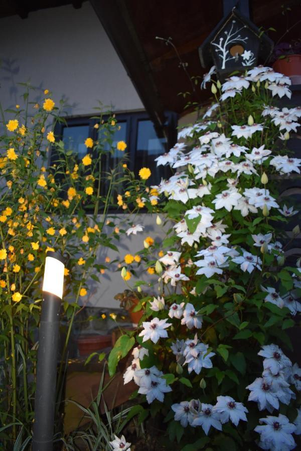 Villa Clematis House Voroneț Exterior foto